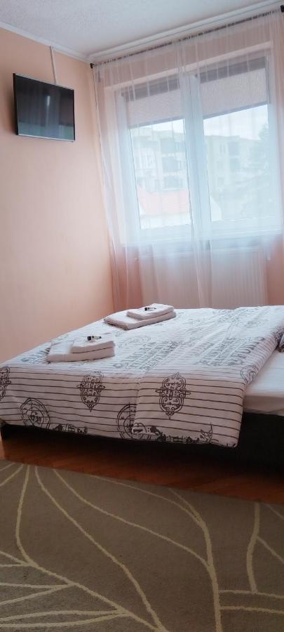 Appartement Apartament Giulia à Făgăraş Extérieur photo